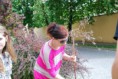 /album/sadenie-stromov/dsc-0661-jpg/