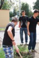 /album/sadenie-stromov/dsc-0670-jpg/