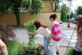 /album/sadenie-stromov/dsc-0698-jpg/