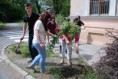 /album/sadenie-stromov/dsc-0725-jpg/
