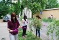 /album/sadenie-stromov/dsc-0873-jpg/